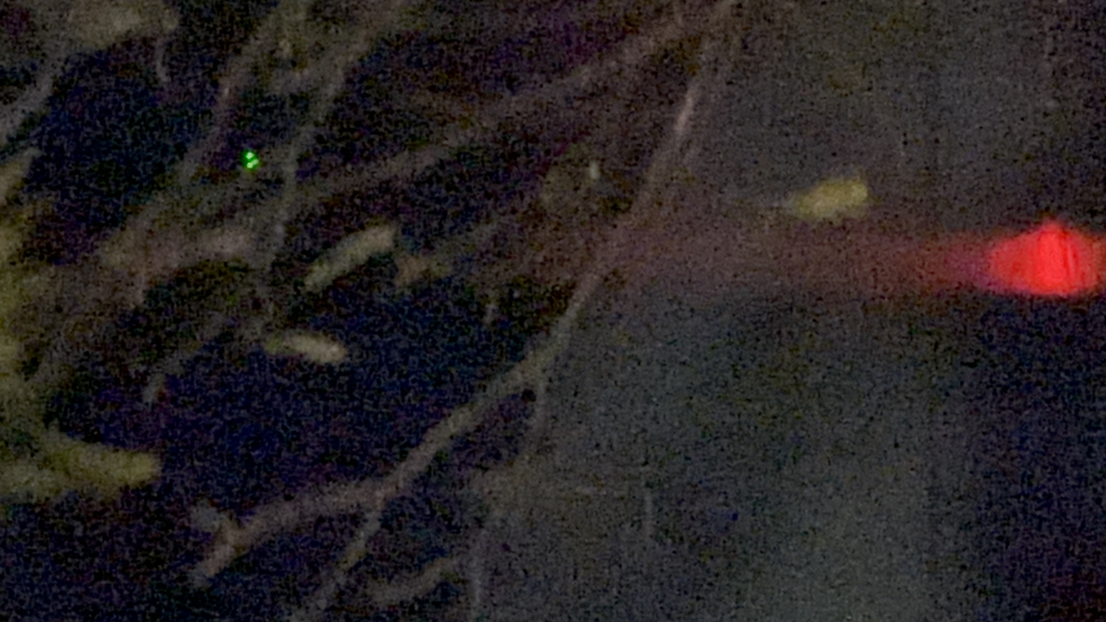 Sighting media 2