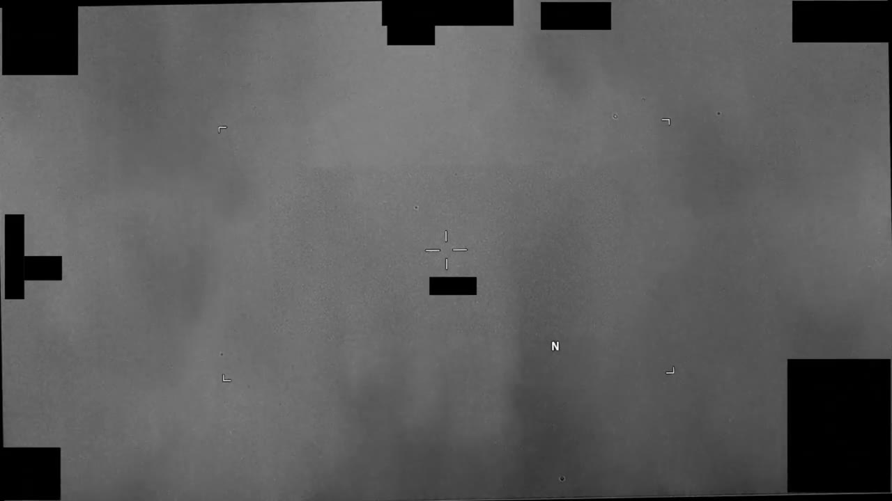 Other sighting