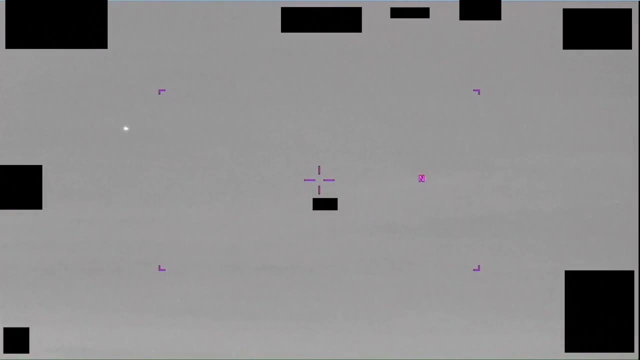 Other sighting