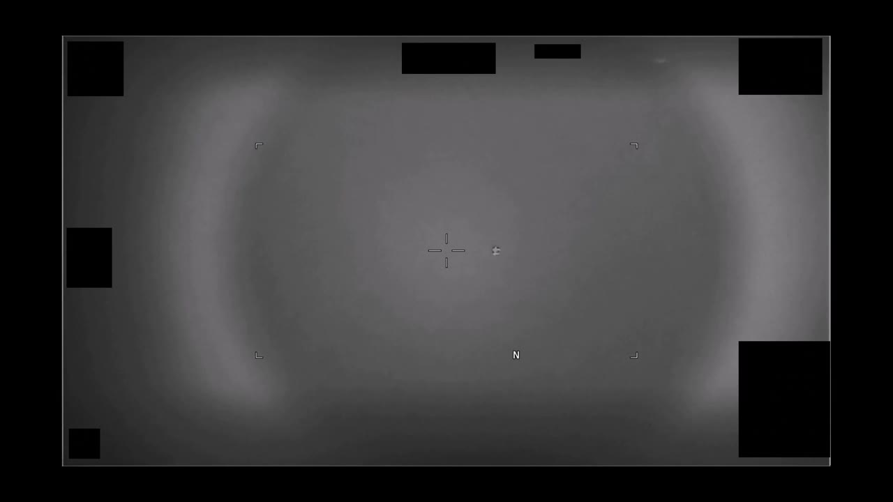 Other sighting