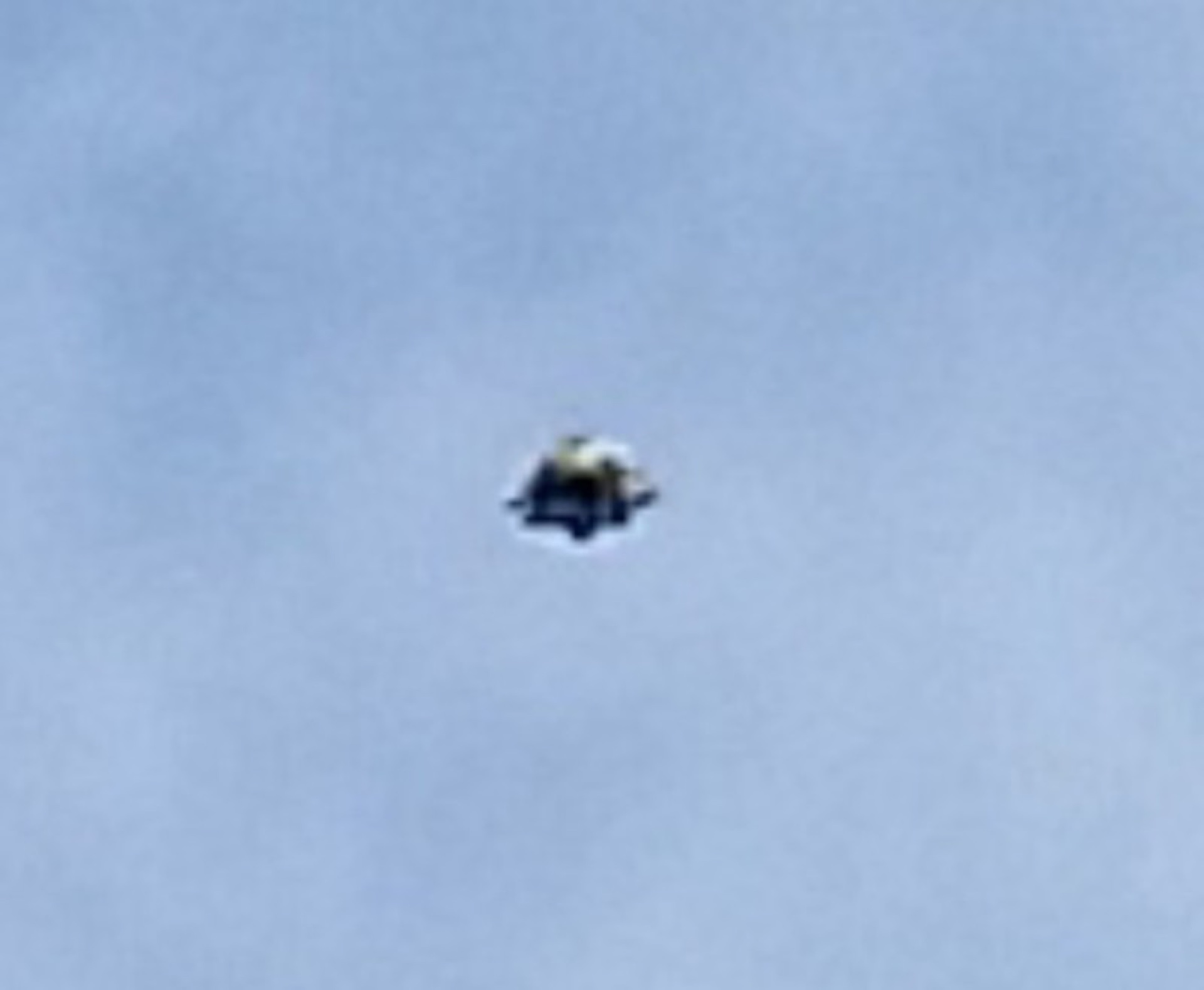 Unknown sighting
